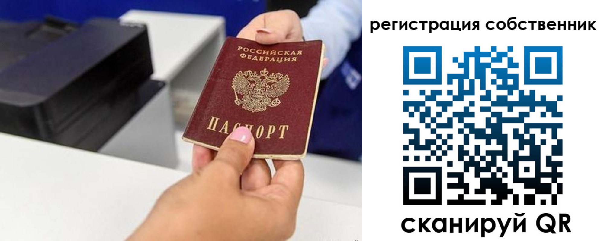 прописка для школы в Жирновске